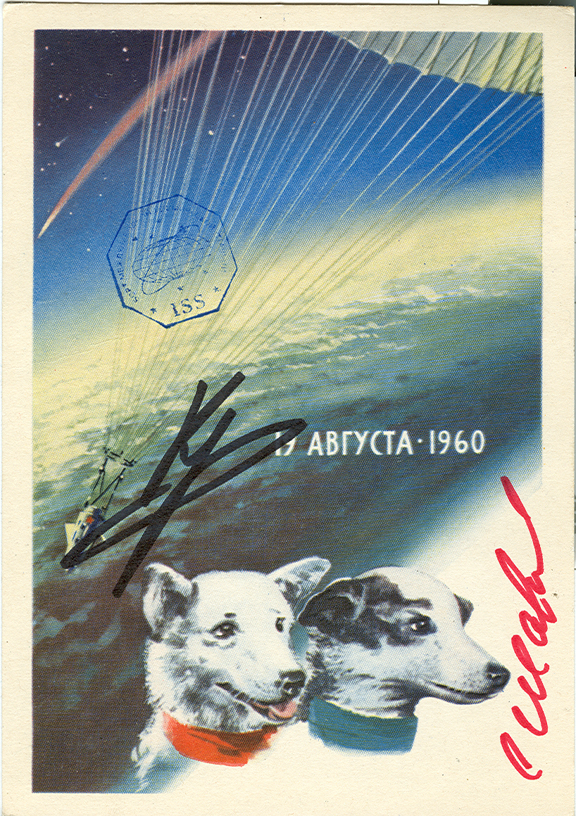  # sd100 Old 1962 Belka-Strelka card flown in cosmos 1